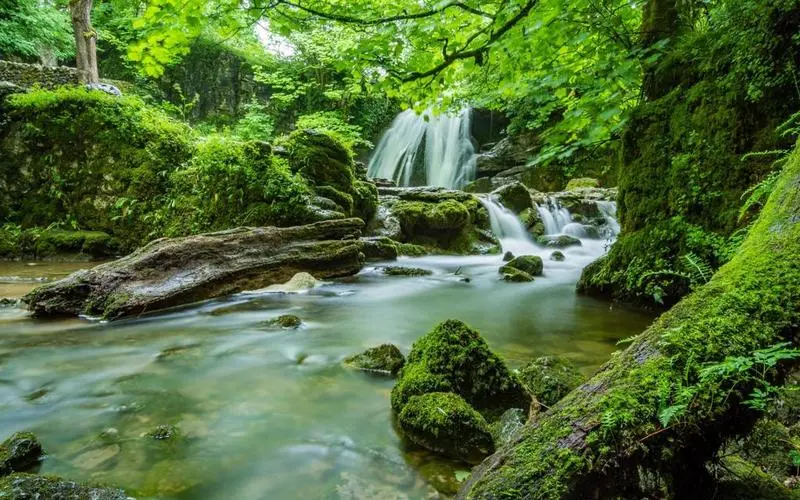 智能环保